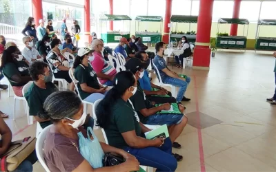 Famílias agrícolas participam de formação em olericultura orgânica