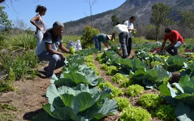 SINPRI realiza curso em Gentio do Ouro